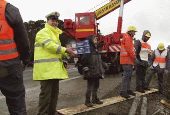 gemuese3.gif (52192 Byte)