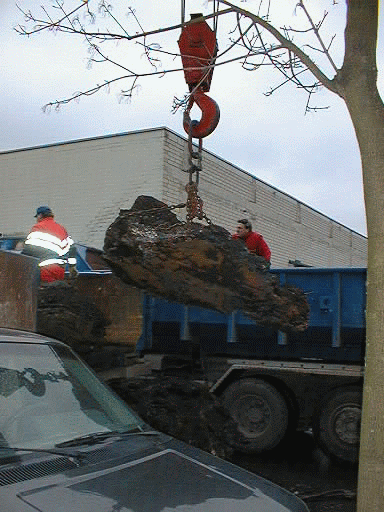 maarstr11.gif (109925 Byte)